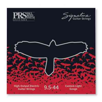 Струны для гитары PRS Signature Custom Light Guitar Strings 9.5-44 (100148002001004) Винница
