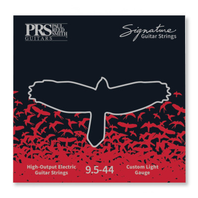 Струны для гитары PRS Signature Custom Light Guitar Strings 9.5-44 (100148002001004) Винница - изображение 2