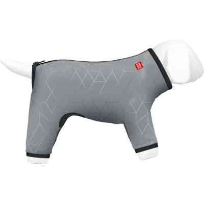 Дождевик для животных Collar WAUDOG Clothes светоотражающий S32 В 47-50 см, С 35-38 см (5423) Винница