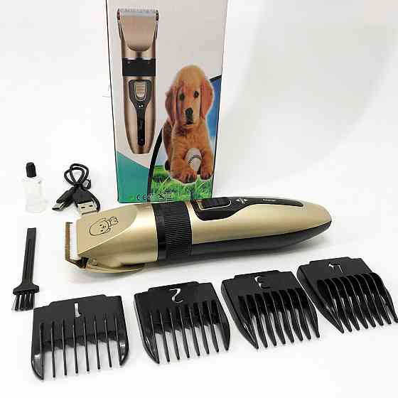 Машинка триммер для стрижки животных собак / котов на аккумуляторе с набором насадок Puppy SP-19 Львов