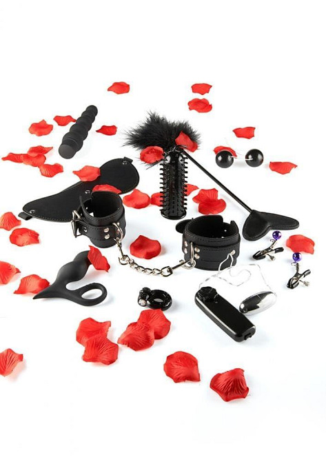 Набор секс игрушек Toy Joy Amazing Pleasure Sex Toy Kit Sex Aura Киев - изображение 2