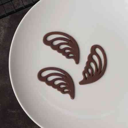 Молд для шоколада Крылья 22 на 12 см серый Киев