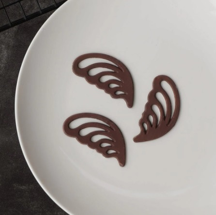 Молд для шоколада Крылья 22 на 12 см серый Киев - изображение 6