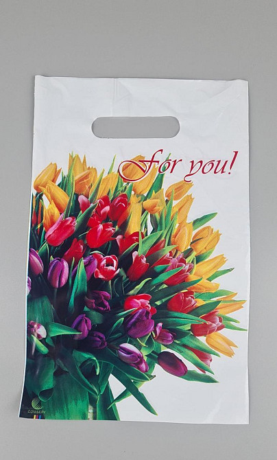 Пакеты с вырубной ручкой (20*30) ВД 