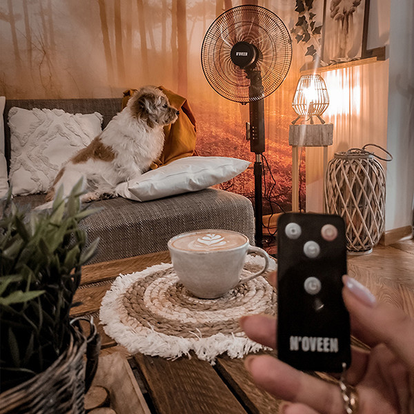 Вентилятор підлоговий з таймером Noveen F455 55 Вт Дніпро - фото 4