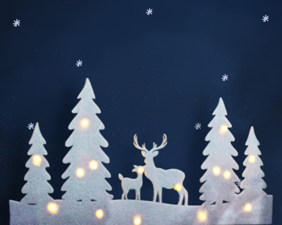 Світлодіодна новорічна прикраса ялинки і олені для вікна або стіни 60 на 30 см з фетру Німеччина білий Київ