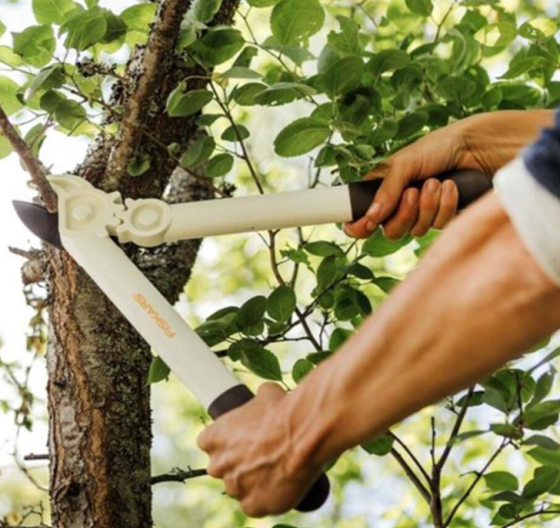 Сучкоріз площинний FISKARS White L32 Одеса