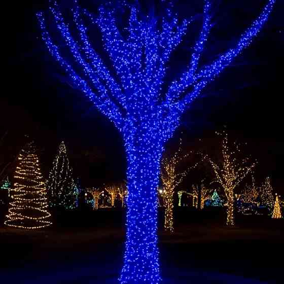 Гірлянда Різдвяна Фея 100 м, 1000 LED, білий провід Київ