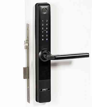 PES Bigl Black автономный умный замок на дверь Киев