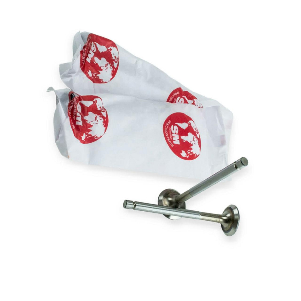 Клапана SM випуск 2101 Мукачево - фото 1