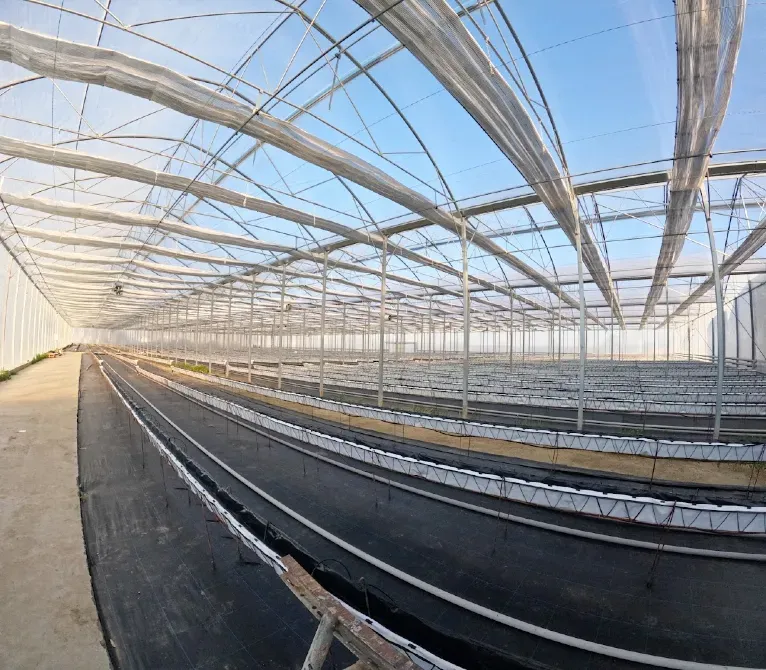 Сільськогосподарський комплекс - Птахофабрика та теплиця. Харків - фото 2