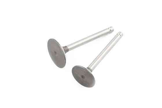 Клапаны (пара, голые) мотоблок 190N/195N (12/15Hp) Мукачево