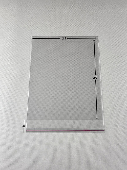 Пакети з клейкою стрічкою 21см 26см 25мк (1000 шт) Харків - фото 3