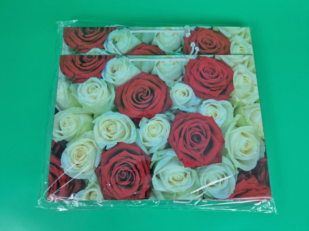 Паперовий пакет горизонтальний гігант 46*33*15 (артGG-076) (12 шт.) Харків - фото 2