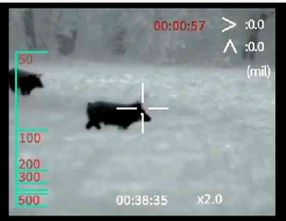 Цифровой  Приціл нічного бачення (в день також) BINOC Киев