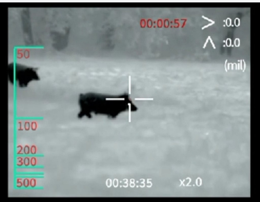 Цифровой  Приціл нічного бачення (в день також) BINOC Киев - изображение 5