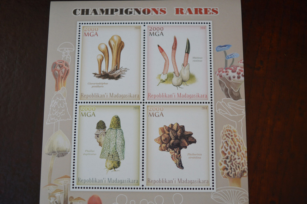 Мадагаскар. Фауна. Личности. Блок. (А-35) Полтава - фото 1