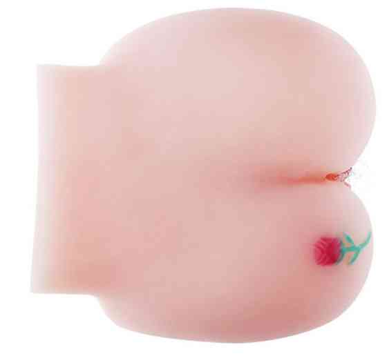 Мастурбатор с двойной вибрацией и двумя входами BAILE Princess Vagina and Anal, BM-009107 Sex Aura Киев