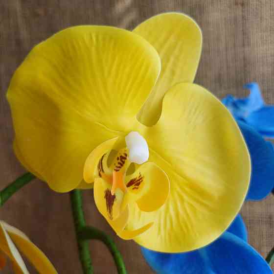 Штучна латексна орхідея VIP на дві гілки жовто-блакитна Дніпро