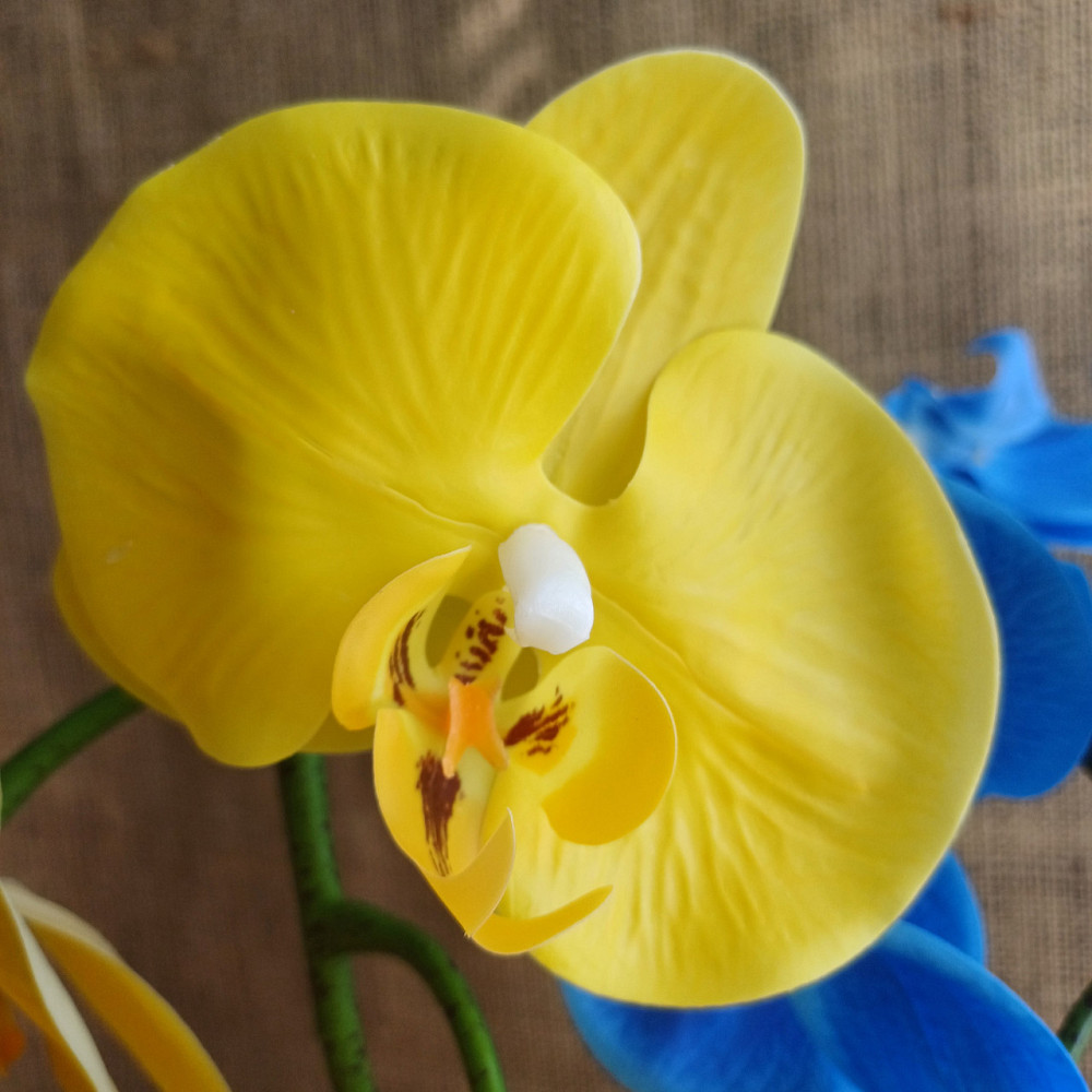 Штучна латексна орхідея VIP на дві гілки жовто-блакитна Дніпро - фото 3