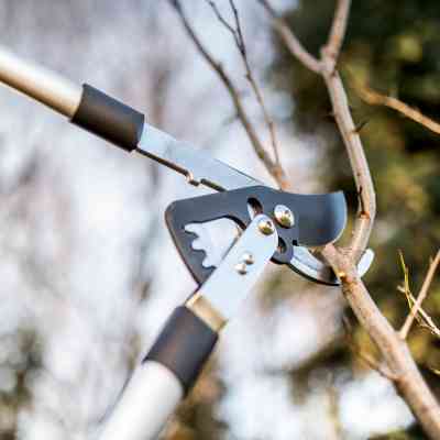 Кусторез Cellfast IDEAL, d реза 45мм (40-411) Винница