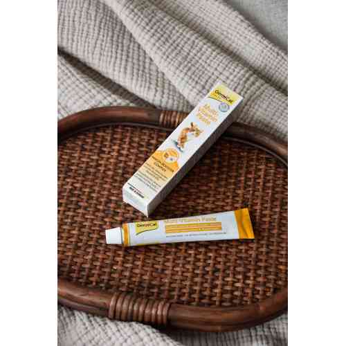 Витамины GimCat Every Day мультивитаминная паста для кошек для улучшения иммунитета 200 г Киев