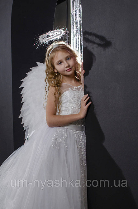 Крылья Ангела большие сердцем Кривой Рог - изображение 4