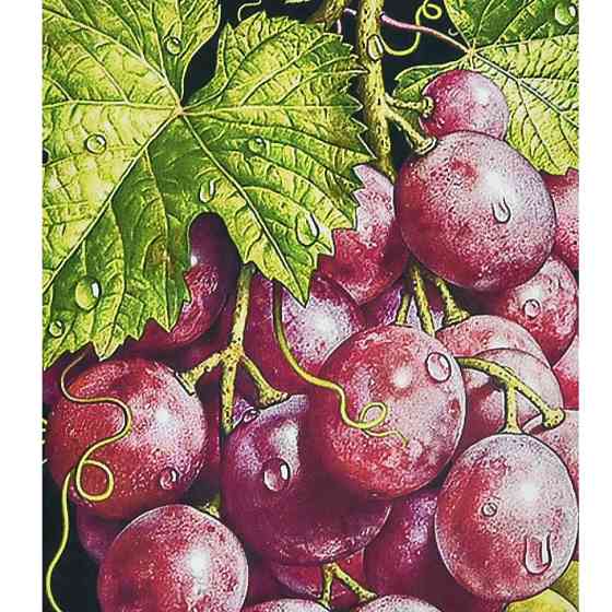 Алмазна мозаїка "Грона багатства" HEG87076 30х40 см Вінниця