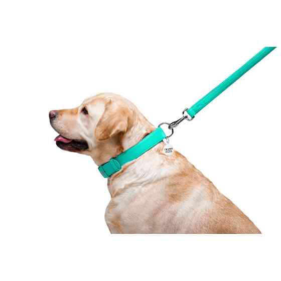 Повідець для собак шкіряний WAUDOG Glamour, Ш 25 мм, Дов 122 см ментоловий Коломия