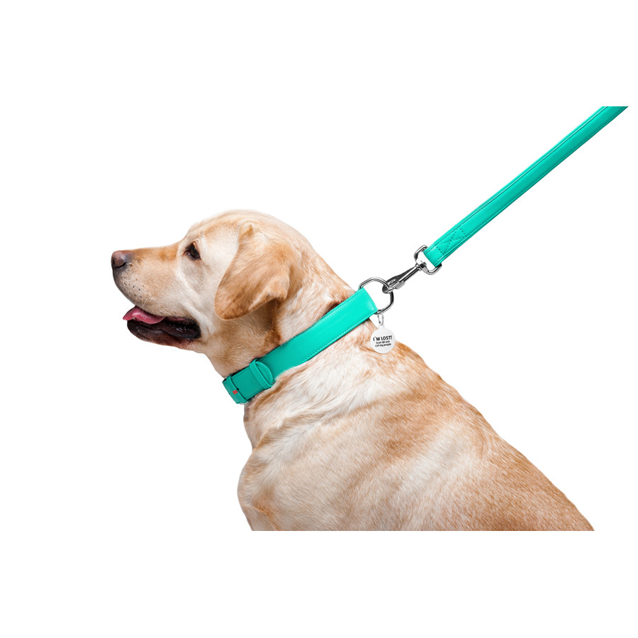 Повідець для собак шкіряний WAUDOG Glamour, Ш 25 мм, Дов 122 см ментоловий Коломия - фото 5