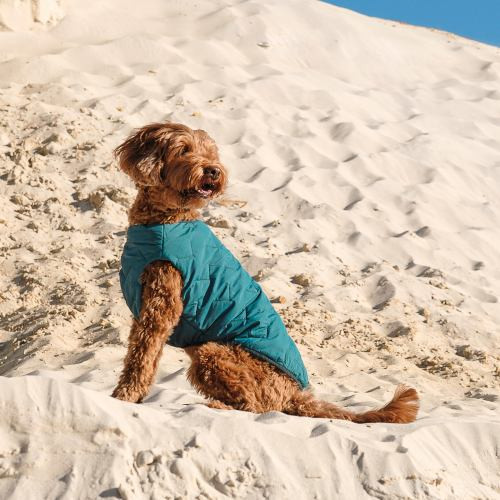 Жилет Pet Fashion E.Vest для собак морська хвиля XL Київ - фото 5