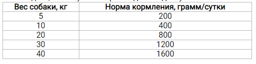 Nuevo Adult (Нуево Еталт) вологий корм консерви для собак з ягням і картоплею 800 г х 6 шт. Запоріжжя
