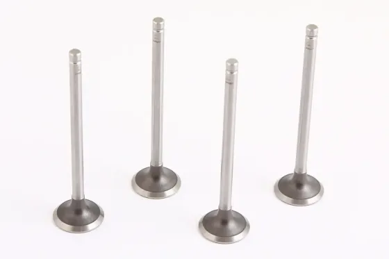 Клапана Lanos 1.6 AMP выпускные (4 шт.) Винница