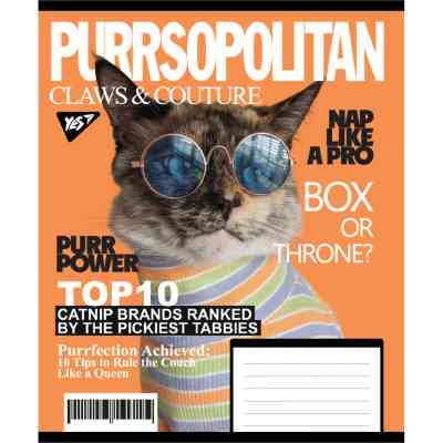 Зошит Yes Animal's fashion А5 24 аркушів лінія (767782) Вінниця