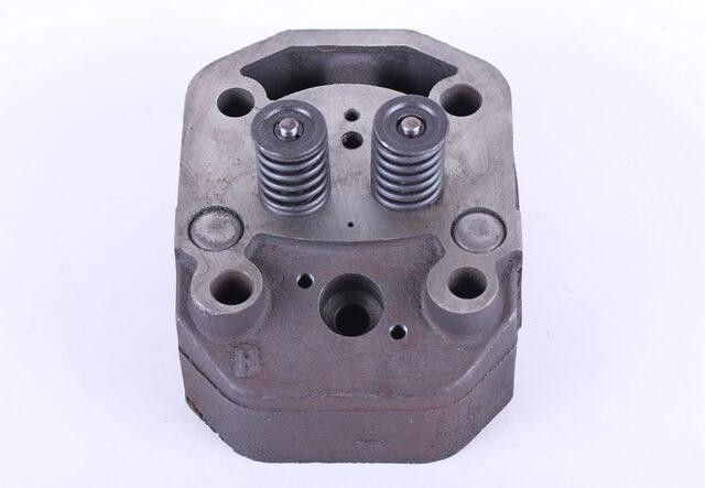 Головка цилиндра в сборе  на дизельный двигатель 195N/Зубр , Мукачево - изображение 2