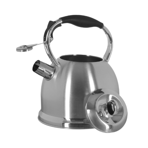 Чайник 2,9л металевий MR-1334 Maestro Житомир