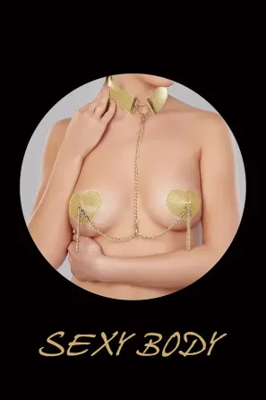Пестис-сердечка з пензликами та чокером JSY Nipple Sticker RT236114 Golden Львов