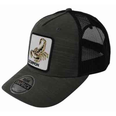 Кепка coFEE Five panels snap Scorpion сірий (SH2026.7/8) Вінниця