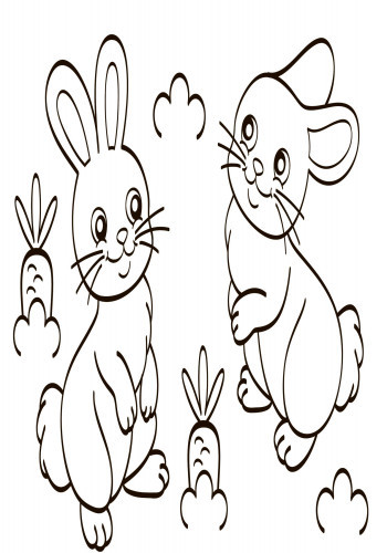 Детская водная раскраска: Дикие животные 734008, 8 страниц Винница - изображение 2