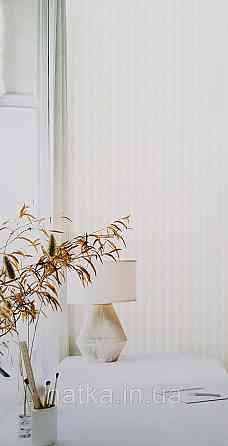 Обои винил на флизелине AdaWall Omega1.06х10 геометрия 3д полосы зигзаг структурные белые серебристые 23206-1 Киев