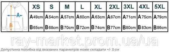 Худі чоловіче базове утеплене RAY BASIC темно-сіре (U0401M-Dark Grey) Київ