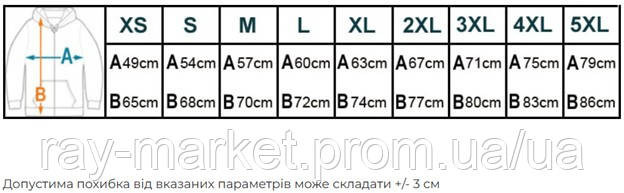Худі чоловіче базове утеплене RAY BASIC темно-сіре (U0401M-Dark Grey) Київ - фото 5