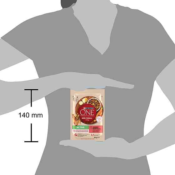 Влажный корм PURINA ONE Mini/Small Active для взрослых собак мелких пород, с повышенной активностью, кусочки в соусе, с говядиной, картофелем и морков Киев