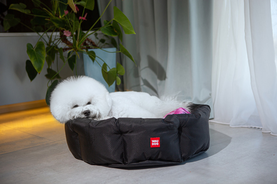 Лежанка для собак WAUDOG Relax, малюнок "Диво-жінка", зі змінною подушкою, M, Ш 42 см, Д 52 см, В 19 см Вінниця - фото 3