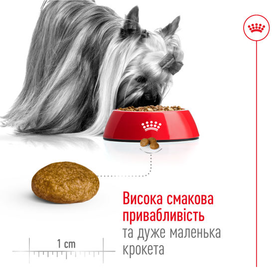 Сухий корм для дорослих собак дрібних порід ROYAL CANIN XSMALL ADULT 0.5 кг Київ