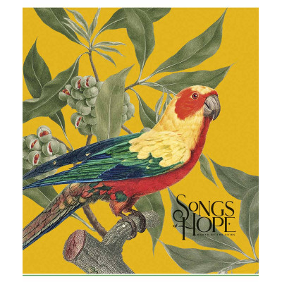 Зошит Школярик Birds 96 аркушів клітинка (096-3410K) Вінниця - фото 4