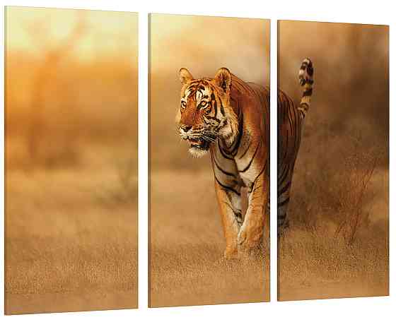 Модульна картина Природа Тигр Art-183_XXL Київ