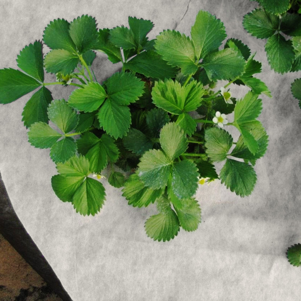 Агроволокно 50 г/м2 3,2х5 м. чорно-біле "Shadow" пакетоване Дніпро - фото 2