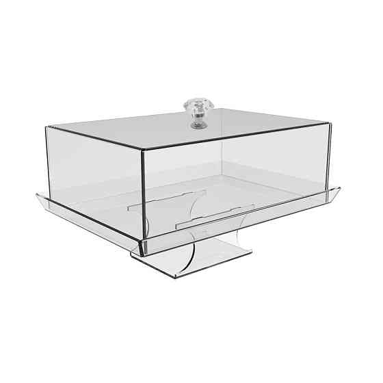 Тарелка для сыра EKOSTAR из акрила 276х196х150 Киев