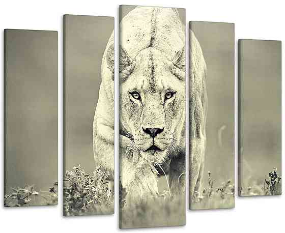 Модульна картина Природа Тигр Art-194_5 Київ